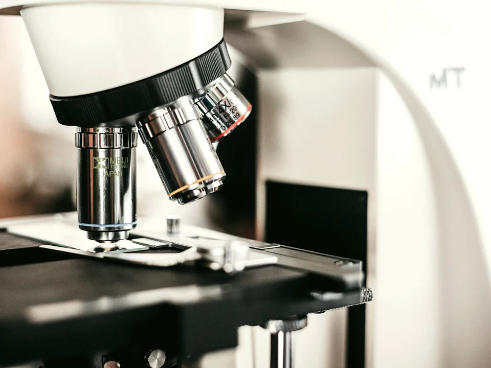 Male Fertility Timeline: When to Test