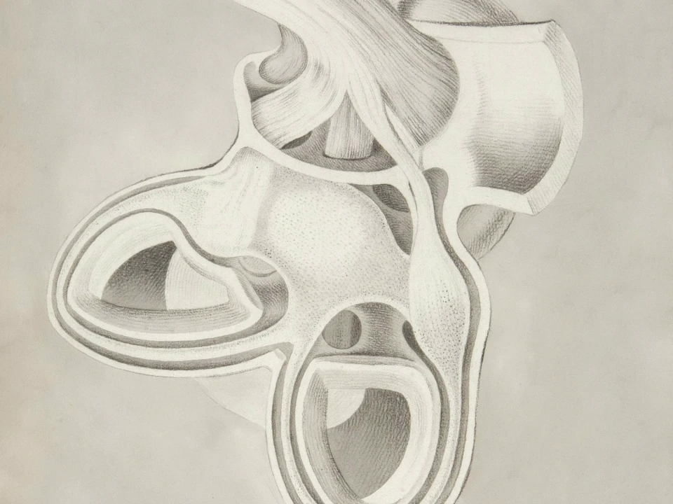Bladder, Prostate and Pelvis: How Symptoms Overlap