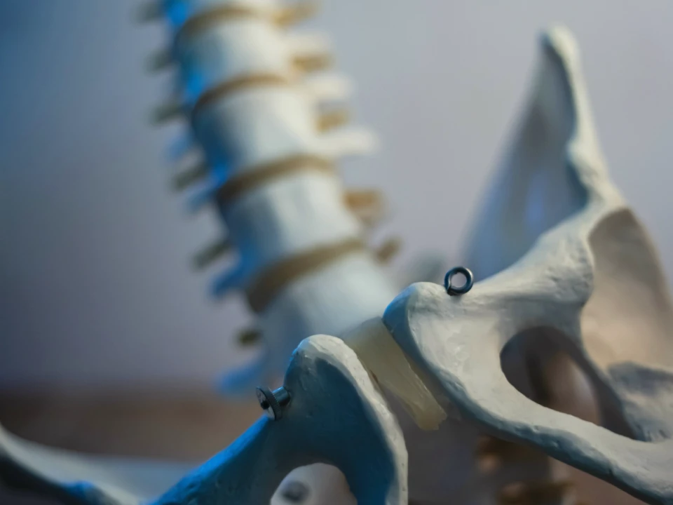 Penile Nerves, Sensation and Arousal