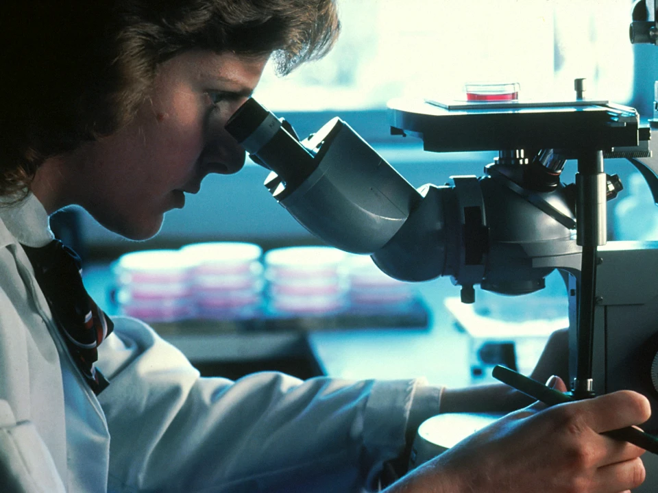Testicles, Fertility, Heat and Varicocele